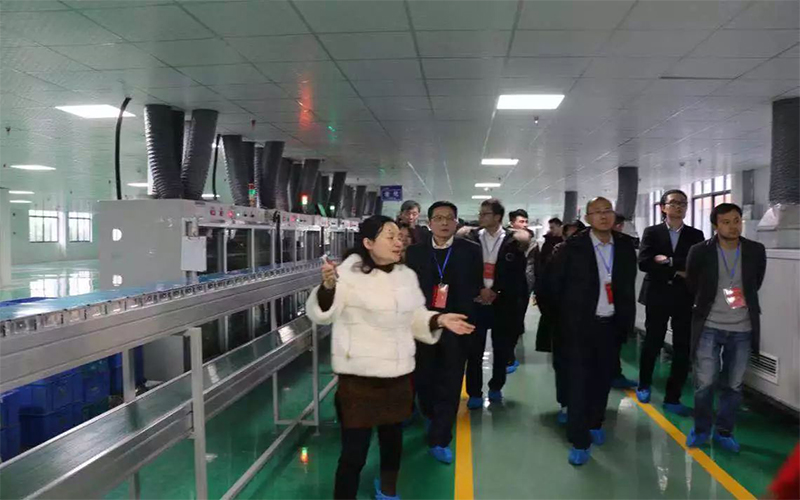 8911622452198281.jpg 1-11115.jpg